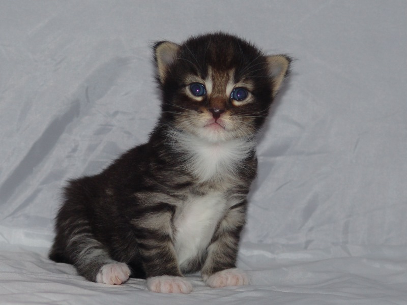 Håkon (16 Tage alt)