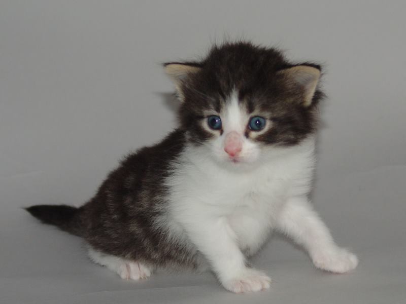 Hildrun (22 Tage alt)