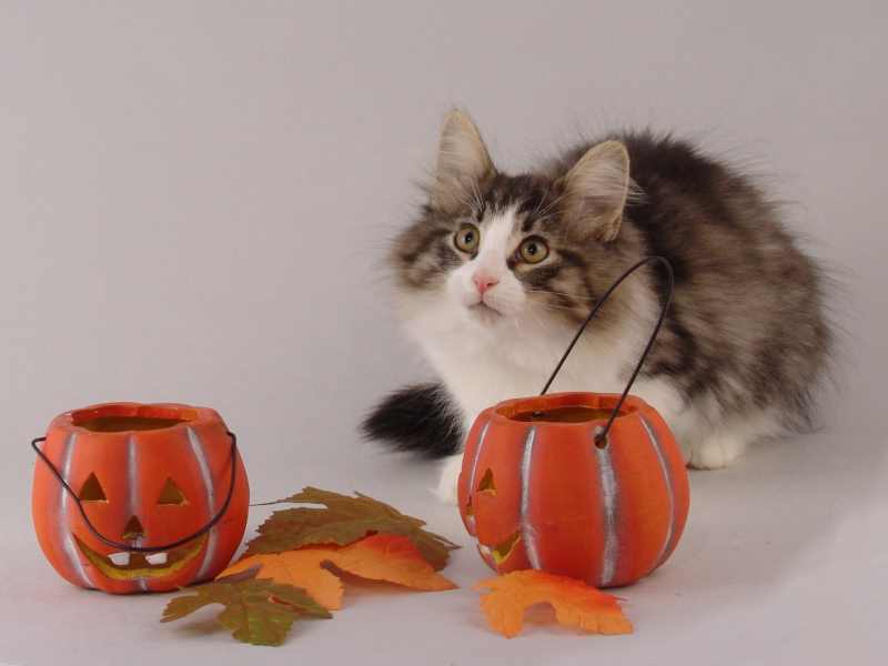 Hildrun (85 Tage alt)