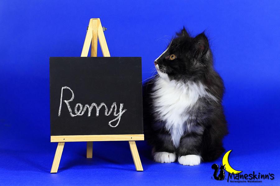 Remy (63 Tage alt)