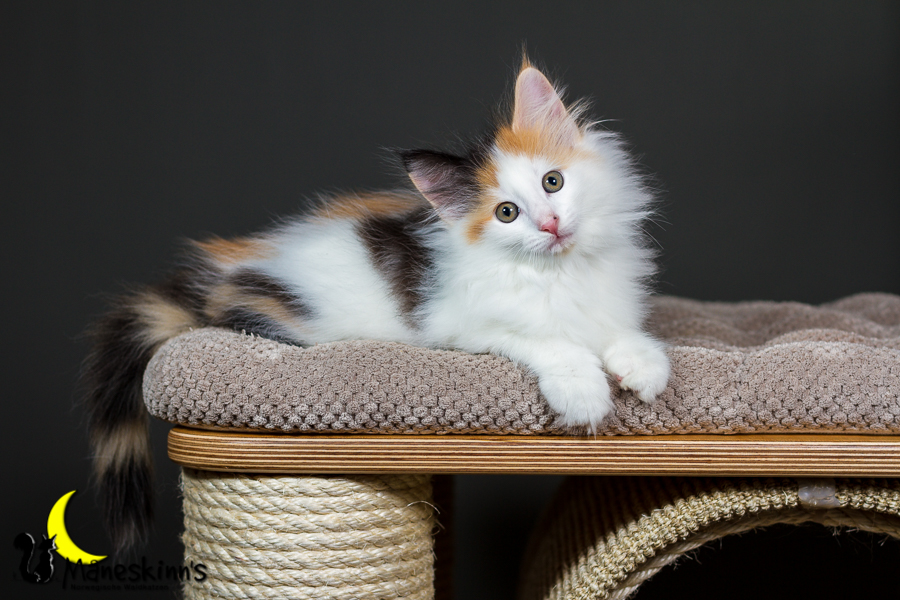 Thekla (56 Tage alt)