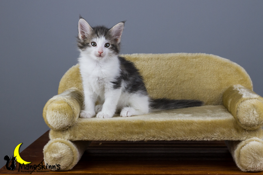 Yemaya (56 Tage alt)