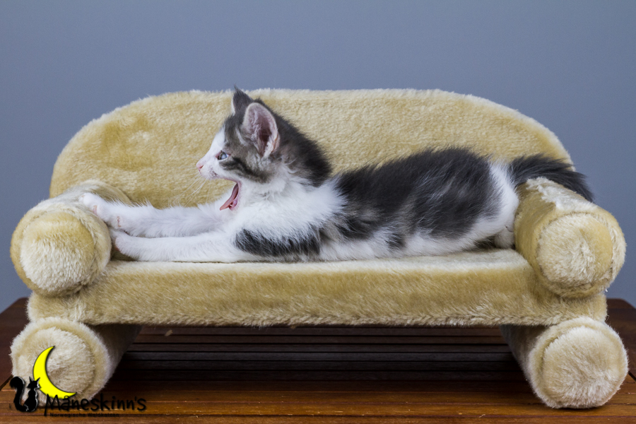 Yemaya (56 Tage alt)