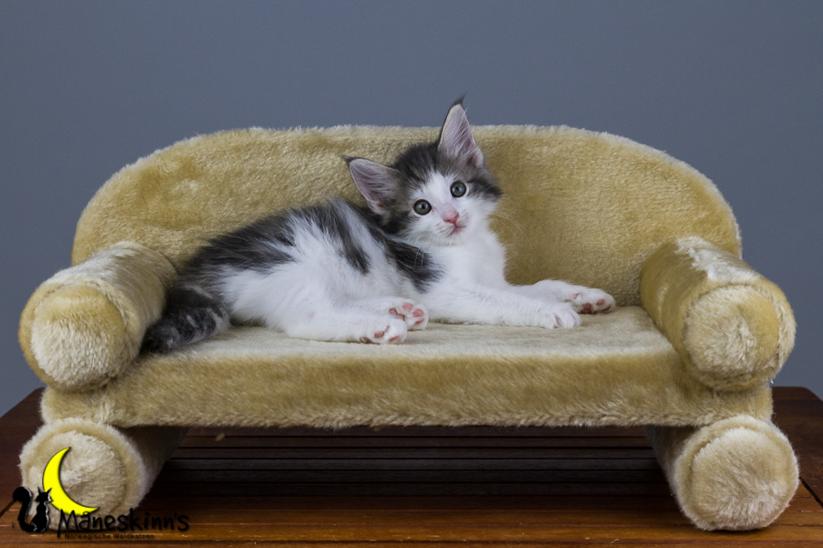 Yemaya (56 Tage alt)