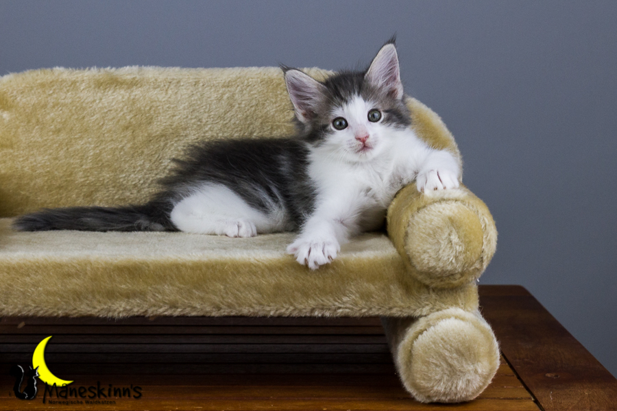 Yemaya (56 Tage alt)