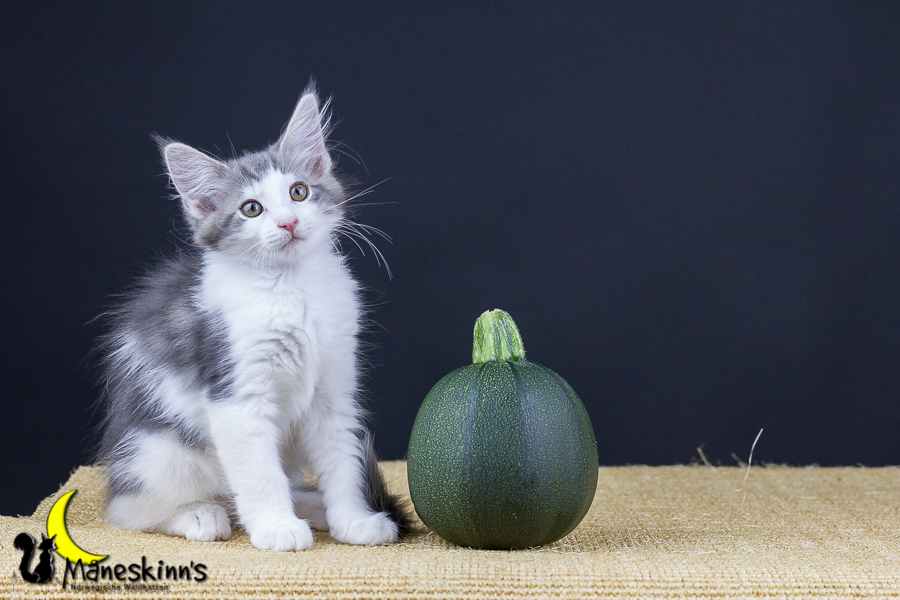 Yemaya (77 Tage alt)