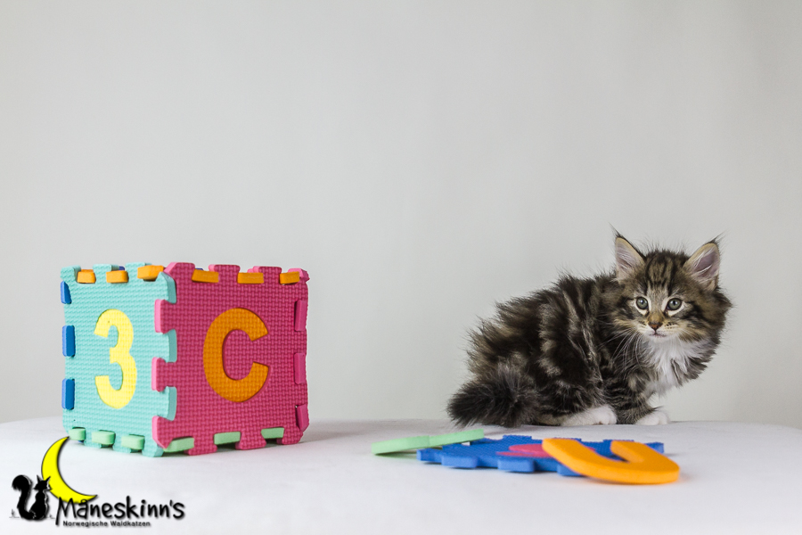 Conran (48 Tage alt)