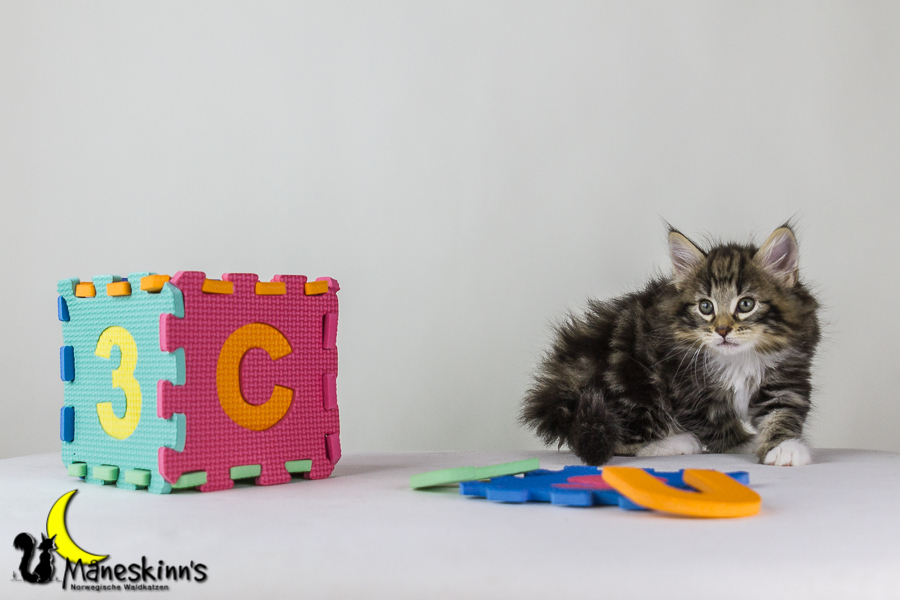 Conran (48 Tage alt)