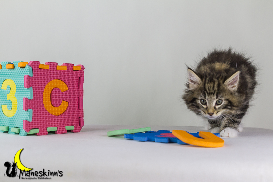 Conran (48 Tage alt)