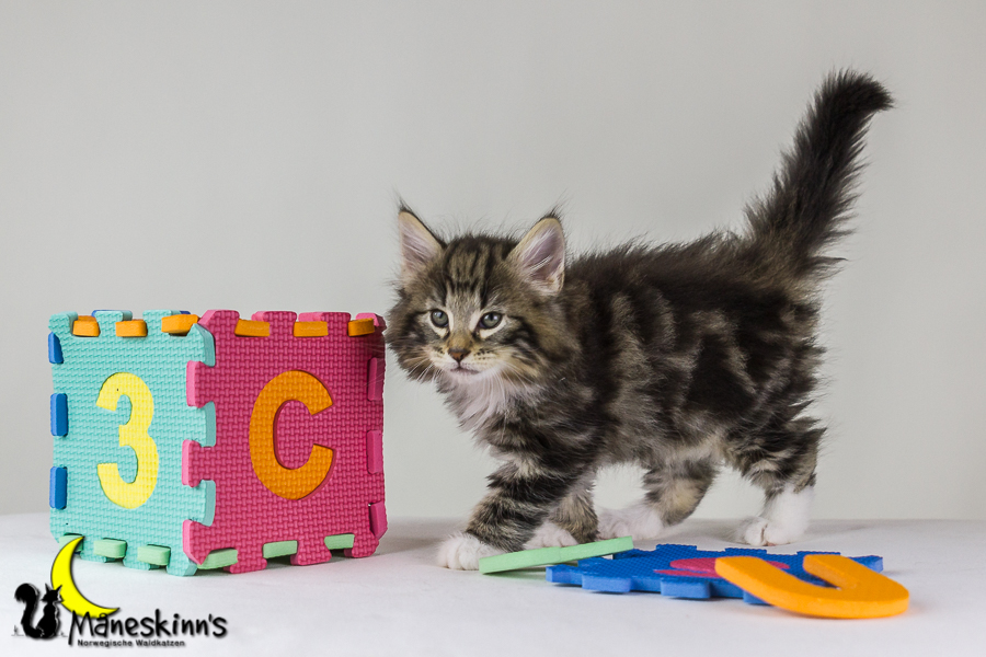 Conran (48 Tage alt)