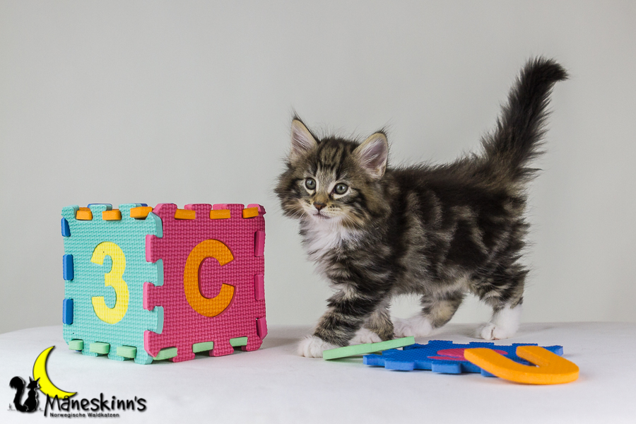 Conran (48 Tage alt)