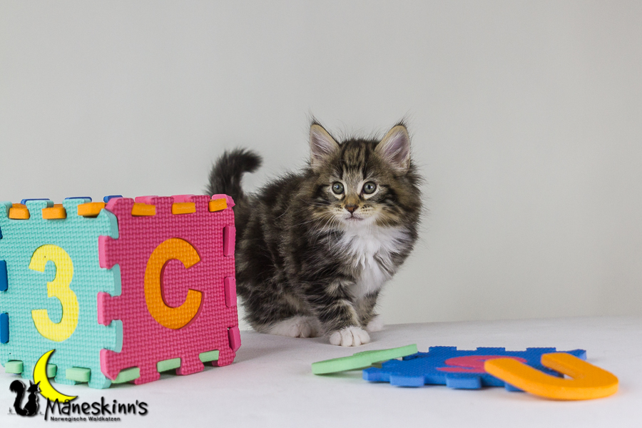 Conran (48 Tage alt)