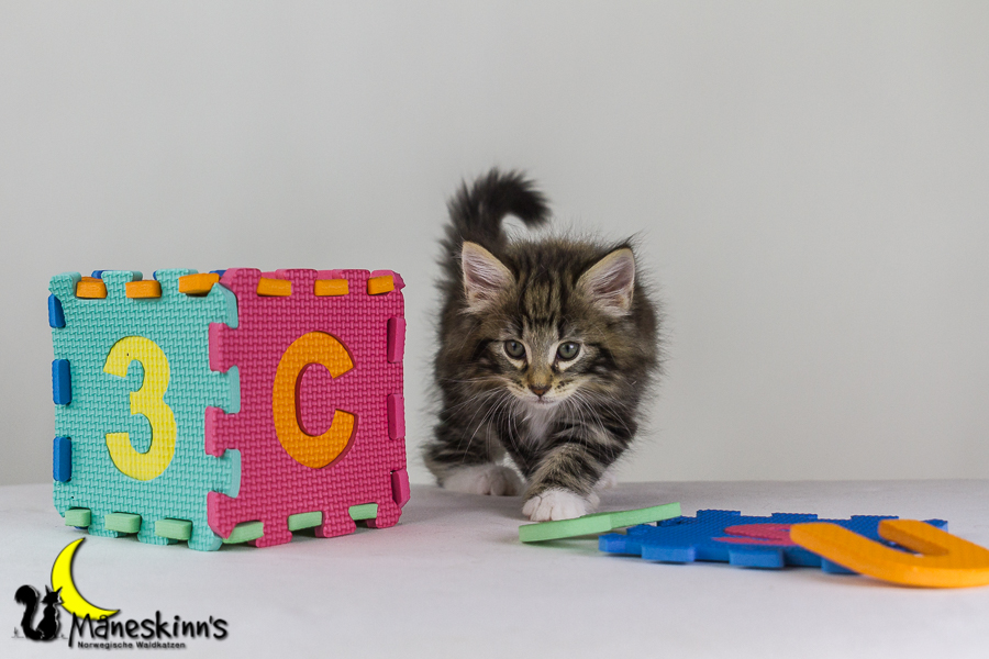 Conran (48 Tage alt)