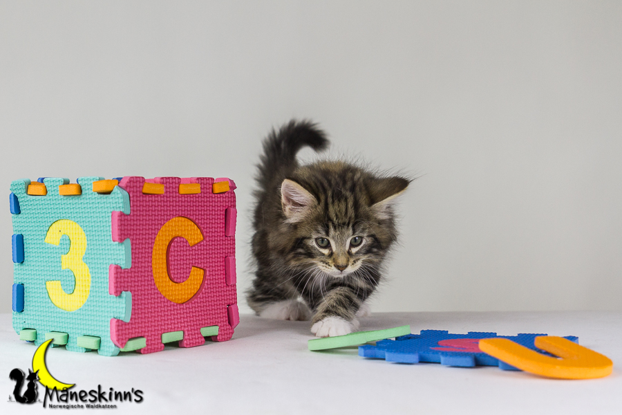 Conran (48 Tage alt)