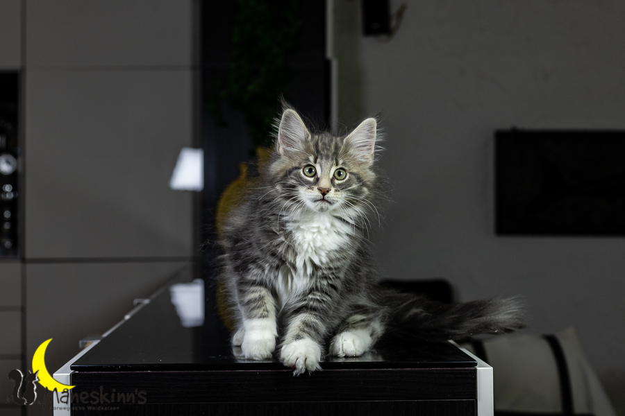 Keldan (76 Tage alt)