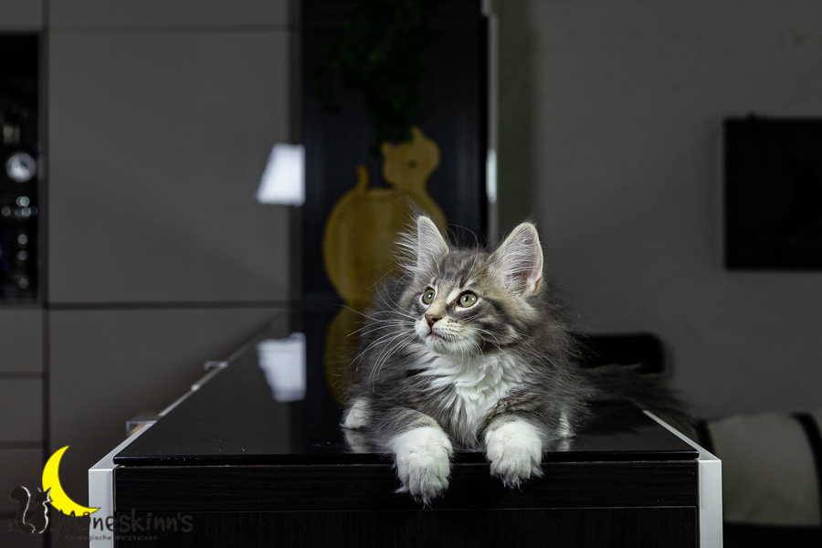 Keldan (76 Tage alt)