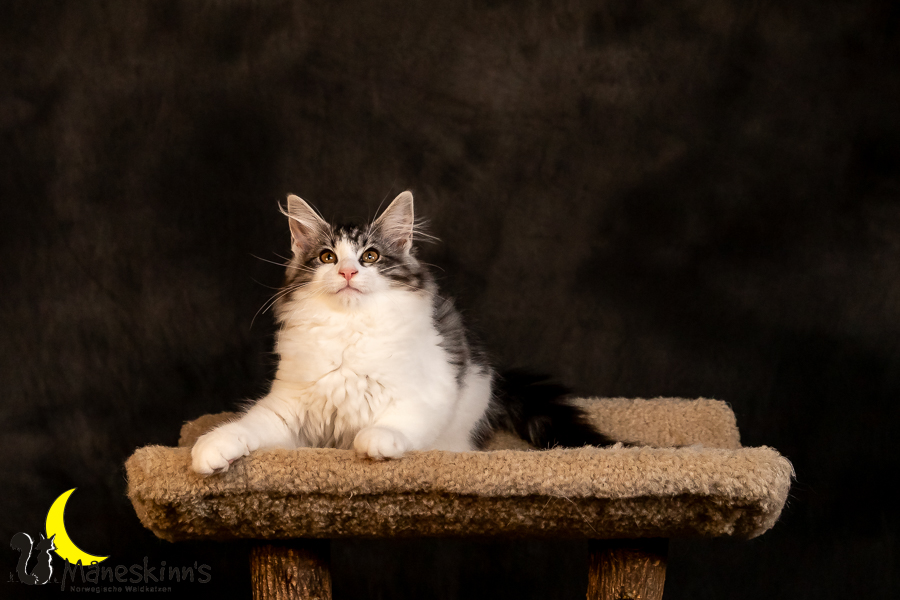 Thora (97 Tage alt)