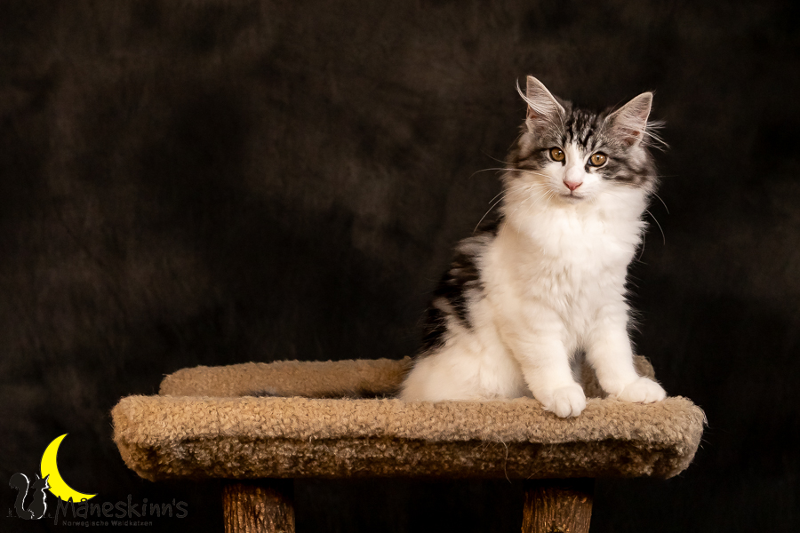 Thora (97 Tage alt)