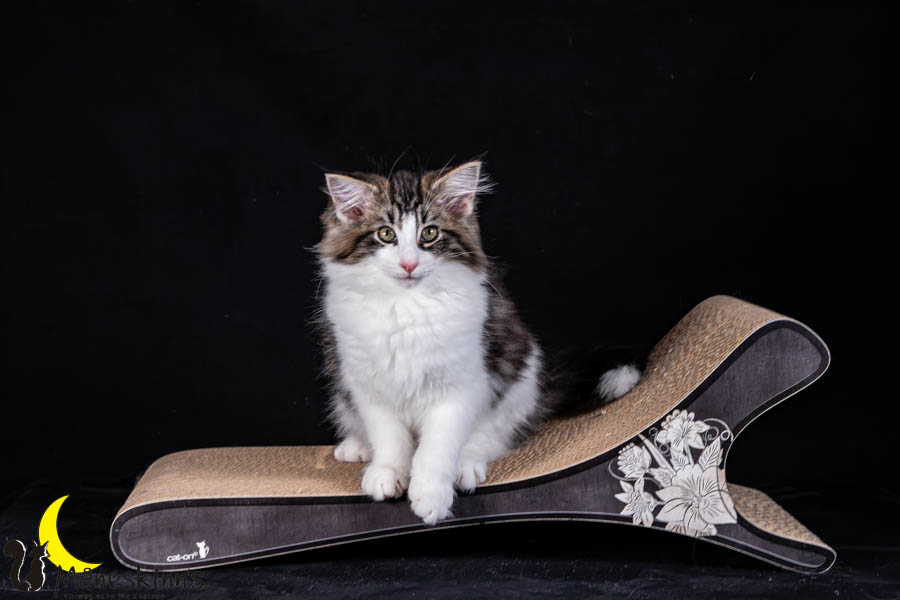 Wilma (91 Tage alt)