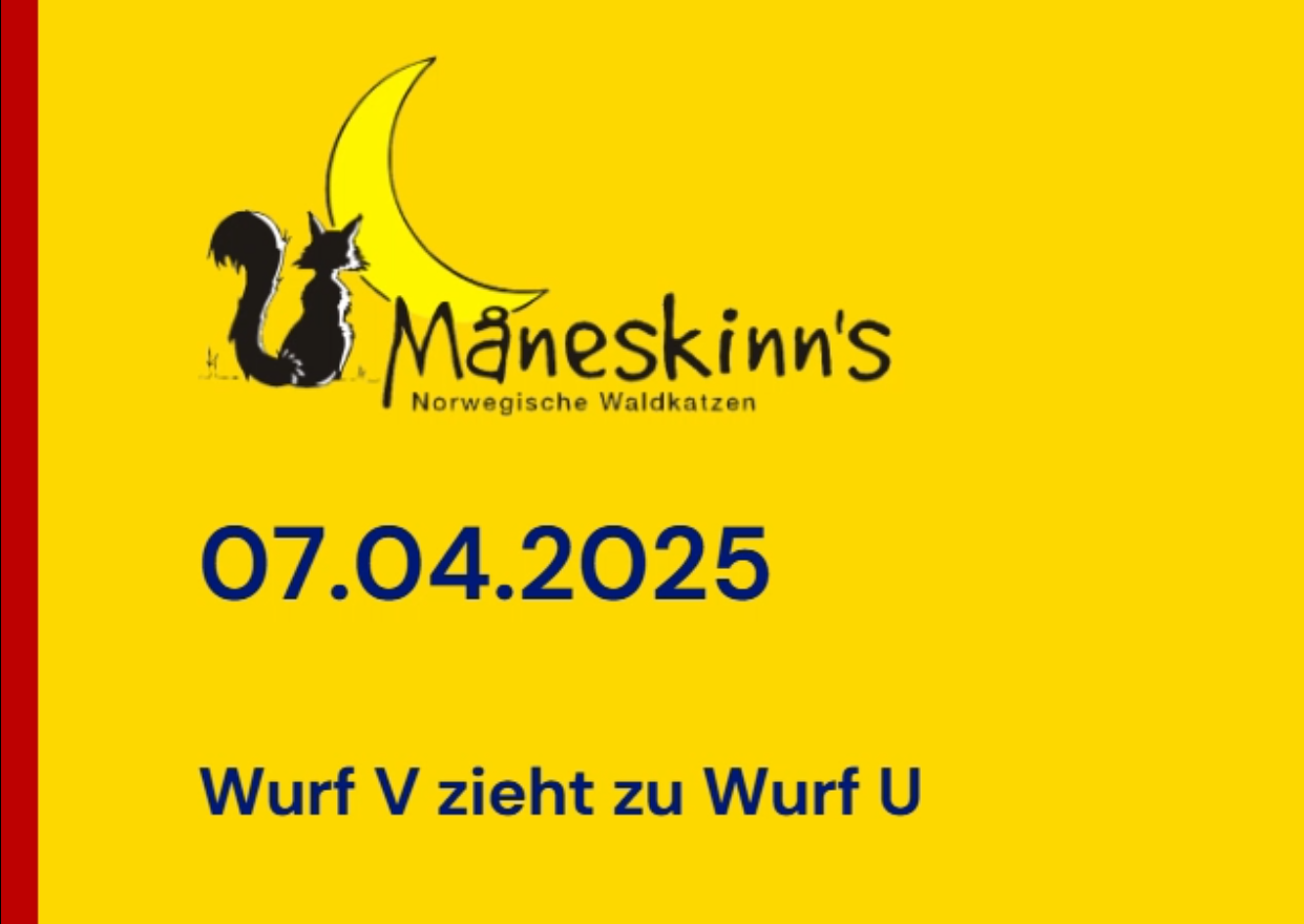 Der Umzug von Wurf V